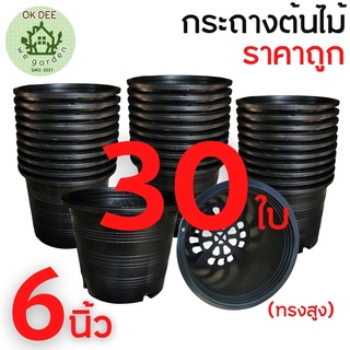 เซต30ใบ กระถางพลาสติก ดำ ขนาด 6 นิ้ว กระถางต้นไม้ กระถางเพาะปลูก