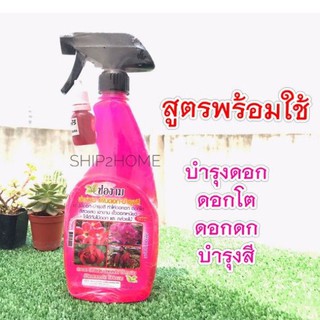 สเปรย์​ช่องาม สูตรบำรุงดอก-เร่งสี เร่งดอก ดอกดก ขวดสเปรย์พร้อมใช้ 500ml​ **แถมหัวเชื้ออีก1ขวด**​​