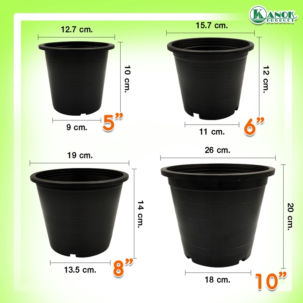ไชโย กระถางต้นไม้ พลาสติก ขนาด 5-8นิ้ว กระถางต้นไม้ กระถางต้นไม้อย่างดี แข็งแรง ทนทาน - รูปที่ 4