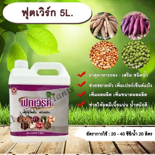 ฟุตเวิร์ก 5L. ขยายหัวมัน มันหัวโต เพิ่มเปอร์เซ็นต์แป้ง  เพิ่มผลผลิต เพิ่มขนาดผลผลิตช่วยให้ผลมีเนื้อแน่น น้ำหนักดี