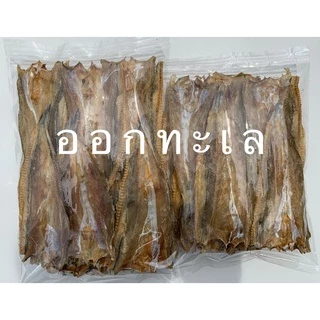 ปลาช่อนทะเล-กลาง ตากแห้ง เนื้อสวย ไม่จืด ไม่เค็ม