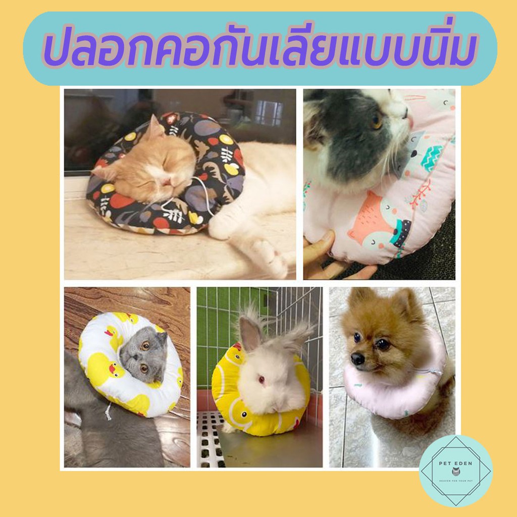 ปลอกคอกันเลียแบบนิ่ม Soft Collar, Cone for Cat, ปลอกคอกันเลีย ปลอกคอแมว ปลอกคอหมา ปลอกคอกันเลียแมว ปลอกคอกันเลียหมา