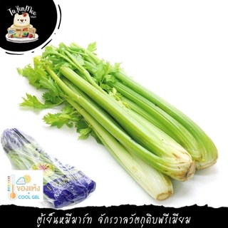 500G/PACK เซเลอรี่นอก คัดเกรด CELERY (D / F)