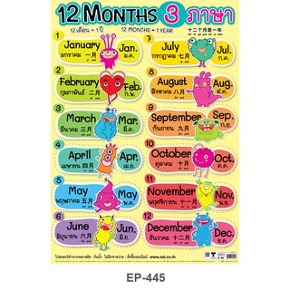 โปสเตอร์ 12 MONTHS/ 3ภาษา ไทย-จีน-อังกฤษ #EP-445 โปสเตอร์พลาสติก PP โปสเตอร์สื่อการเรียนการสอน สื่อการเรียนรู้