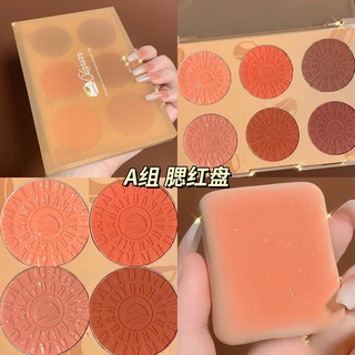 X1027 XI YUAN CHESTNUT SIX-COLOR BLUSH POWDER TRAY ปัดแก้ม 6 เฉดสีในตลับเดียว