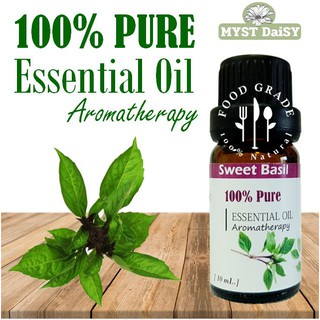 [10 mL.] Food Grade 100%Pure Essential Oil น้ำมันหอมระเหยโหระพา(Sweet Basil) บริสุทธิ์100%ไม่ผสม (ไม่ใช่กลิ่นสังเคราะห์)