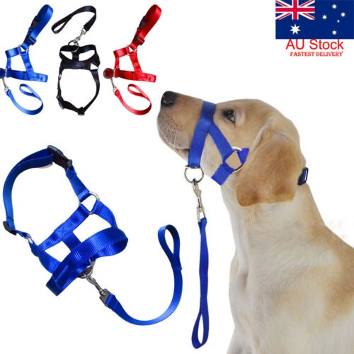 Au Dogalter Dog Halter Halti Training Head Collar Gentle Leader Harness