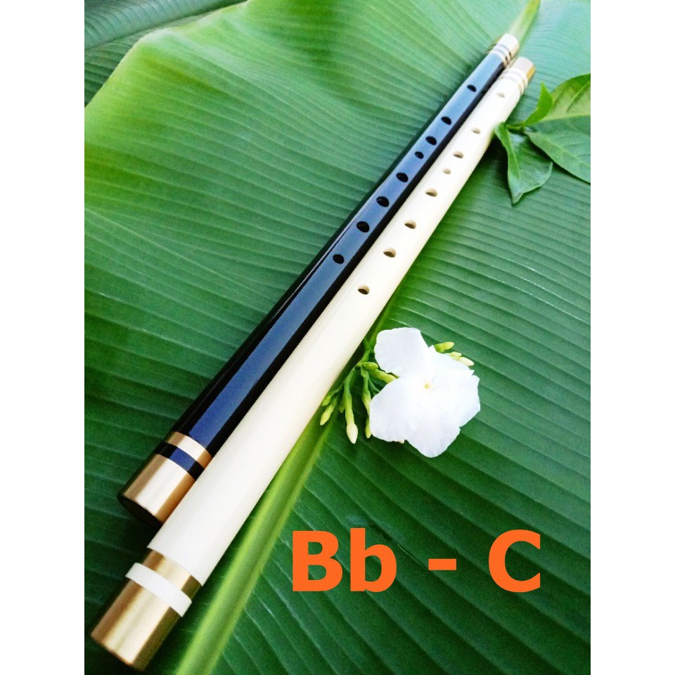 ขลุ่ย ขลุ่ยไทย ขลุ่ยเพียงออ ขลุ่ยสากล ขลุ่ย คีย์ Bb -C (บีแฟลต-ซี) ขลุ่ยแพ็คคู่ ขลุ่ยเลี่ยมทองเหลือง