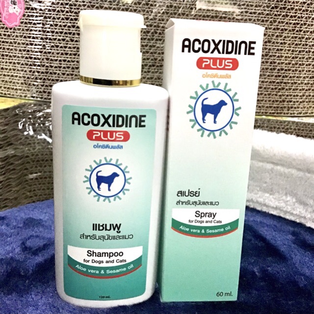 ช่วยดูแลปัญหาผิวหนังสุนัข แชมพู สเปรย์พ่น Acoxidine Plus​ สินค้าแนะนำ