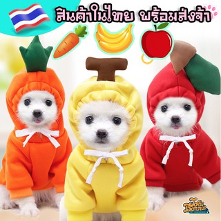 พร้อมส่ง เสื้อสุนัข เสื้อแมว Hood ฮู๊ด  ชุดผลไม้ หวาน ราคาถูก ร้านคนไทย ส่งจากไทย ส่งของทุกวัน ส่งไวมาก เสื้อสัตว์เลี้ย