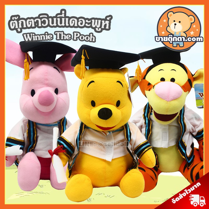 ตุ๊กตา หมีพูห์ รับปริญญา เสื้อขาว (ขนาด 12 นิ้ว) ลิขสิทธิ์แท้ / ตุ๊กตา วินนี่เดอะพูห์ Pooh Piglet Ee