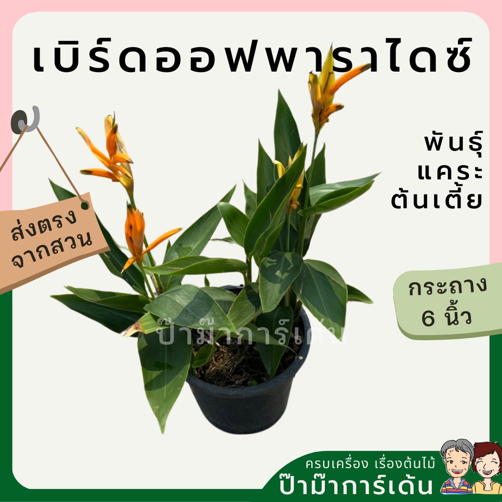 มุมมอง 2