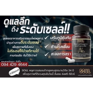 (1 กระปุก) ส่งด่วน ของแท้ อาหารเสริมพลูคาว ลดอักเสบ ไอ ผื่น คัน ภูมิแพ้ ผิวหนัง โซลพลูคาวเบต้ากลูแคน