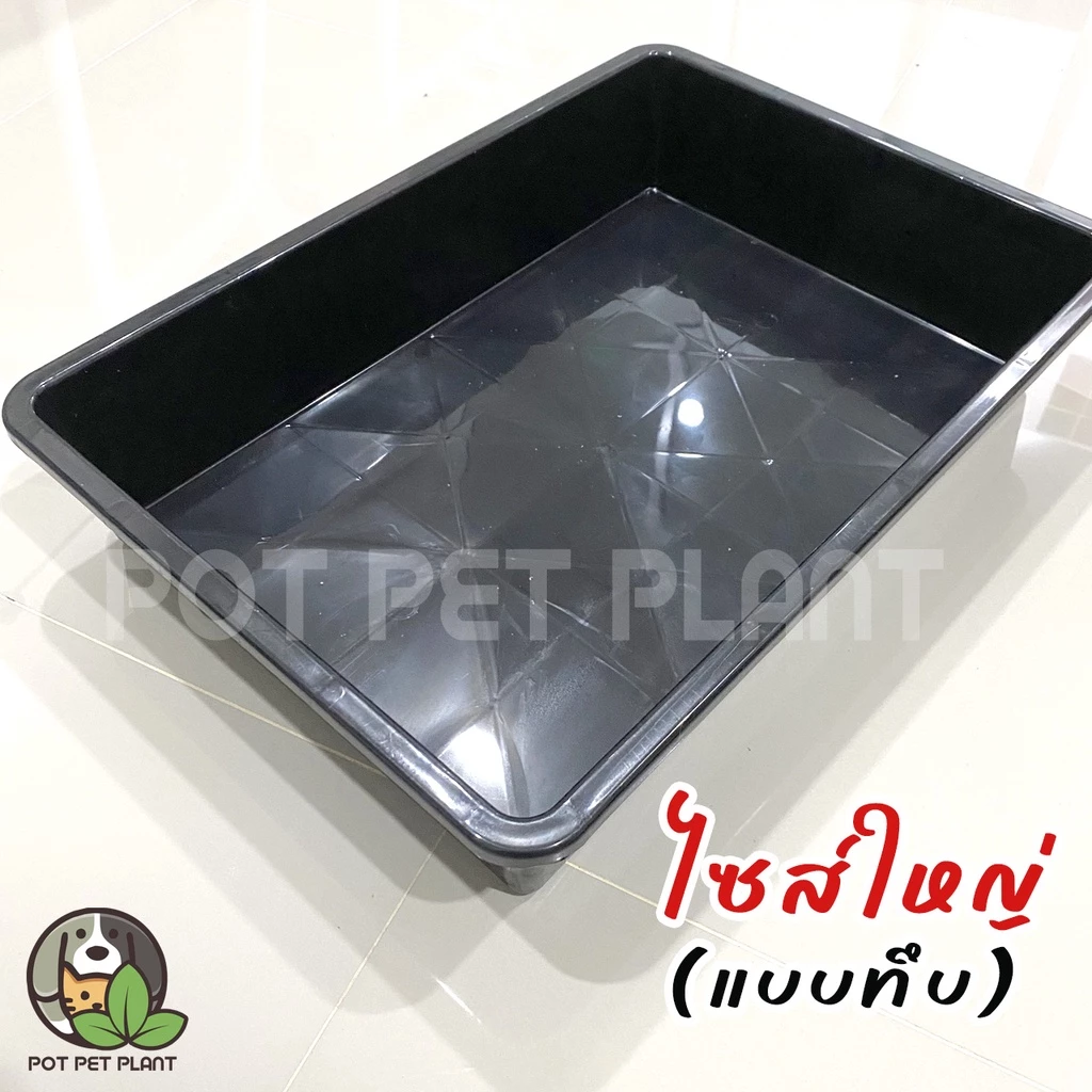 ถาดเพาะต้นอ่อน ถาดปลูกแคคตัส แบบทึบ 0257 - รูปที่ 1