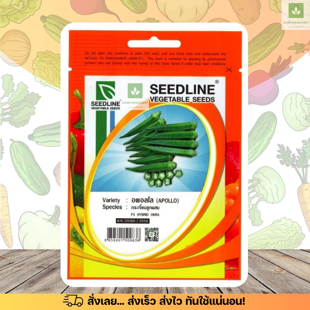 SL กระเจี๊ยบ อพอลโล พันธุ์ลูกผสม เมล็ดพันธุ์กระเจี๊ยบเขียว กระเจี๊ยบเขียว ซีดไลน์