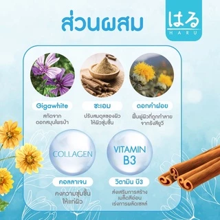 ** กล่องใหม่** Haru ครีมชุดบำรุงหน้าขาวใส (ฮารุครีมชุดสีฟ้า)