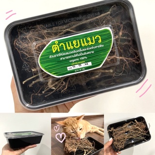 🌱พร้อมส่ง 🌱 ตำแยแมวออแกนิค รากตำแยแมวอบแห้ง สมุนไพรคลายเคลียดน้องแมว