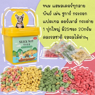 ขนม แฮมสเตอร์ทุกสายพันธ์ เม่น ชูการ์ กระรอก แฟตเทล ดอร์เมาส์ กระต่าย 1 ปุกใหญ่ มี25ซอง 20กรัมคละรสชาติ รสผลไม้ต่า