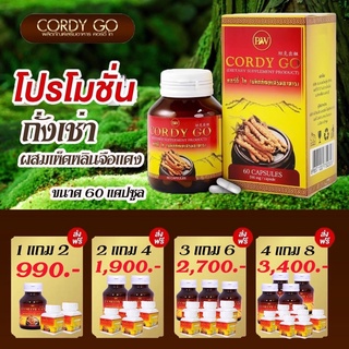 🔥Sale 7 วันสุดท้าย🔥 ถั่งเช่าสีทองผสมเห็ดหลินจือ Cordy go ขนาด 60 แคปซูล 🔥พร้อมของแถมทุกกล่อง (ของแท้💯)