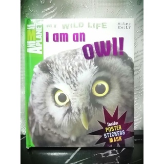 My Wild Life ,I am an Owl by Miles Kelly-102