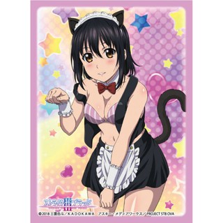 Broccoli Character Sleeve Strike the Blood III "Yukina Himeragi" Maid Ver.