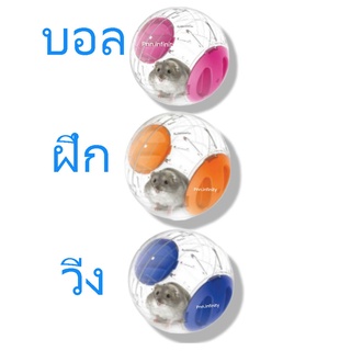 บอลฝึกวิ่ง หนูแฮมเตอร์ (15ซม.) Honey Petz