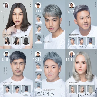 NIGAO Hair Color นิกาโอะ แฮร์ คัลเลอร์ สีย้อมผม ครีมย้อมผม สีเทาประกาย ตัวยอดฮิต สีสวย พร้อมไฮโดรเจน