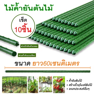 ไม้ค้ำยันต้นไม้❌แพ็ค10ชิ้น❌ ค้างต้นไม้ ซุ้มต้นไม้ ซุ้มต้นไม้ ค้างผัก plants support stick 60.cm 90cm.ซุ้มกุหลาบ ไม้ดอก