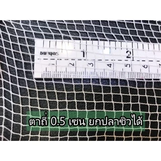 ยอด้าย สะดุ้ง ปั๊ก ยอยกปลา ตาถี่ 0.5 ซม 3,4,5,6,7,8 ศอก สดุ้ง ยอ ยกยอ จับ หา ปลา ปลาซิว ดัก กุ้ง