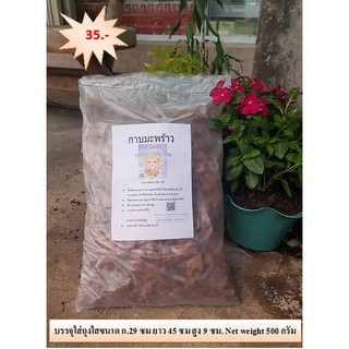 กาบมะพร้าว Chopped coconut 500 กรัม สำหรับขยายพันธ์ุไม้ ผสมดินปลูกช่วยรักษาความชื้น ระบายอากาศได้ดี ลดความหนาแน่นใน