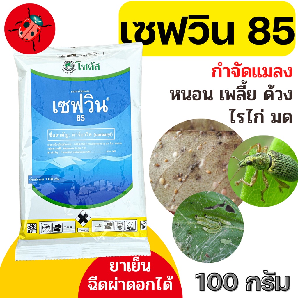 เซฟวิน 85 คาร์บาริล รีวิว: กำจัดเพลี้ย แมลงปีกแข็งได้ผลจริงหรือ?