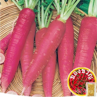 F1 Fruit radish 25 seeds ผลไม้หัวไชเท้า 25เม็ด รุ่นผสมข้ามพันธุ์ 30-35วันแรก Harvest in 30-35 daysเสื้อ/แอปเปิ้ล/กุหลาบ/