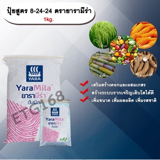 ปุ๋ยสูตร 8-24-24 ตรายารามีร่า 1kg. เสริมสร้างดอก ผสมเกสร สร้างระบบราก รากเจริญเติบโตเพิ่มขนาด เพิ่มผลผลิต ปุ๋ยใส่ดิน NPK