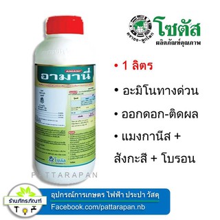 (1 ลิตร)อามานี่ (โซตัส)ธาตุอาหารเสริมหลายชนิดรวมถึงกรดอะมิโนทางด่วนสำหรับพืช ช่วยส่งเสริมการเปิดปากใบพืช