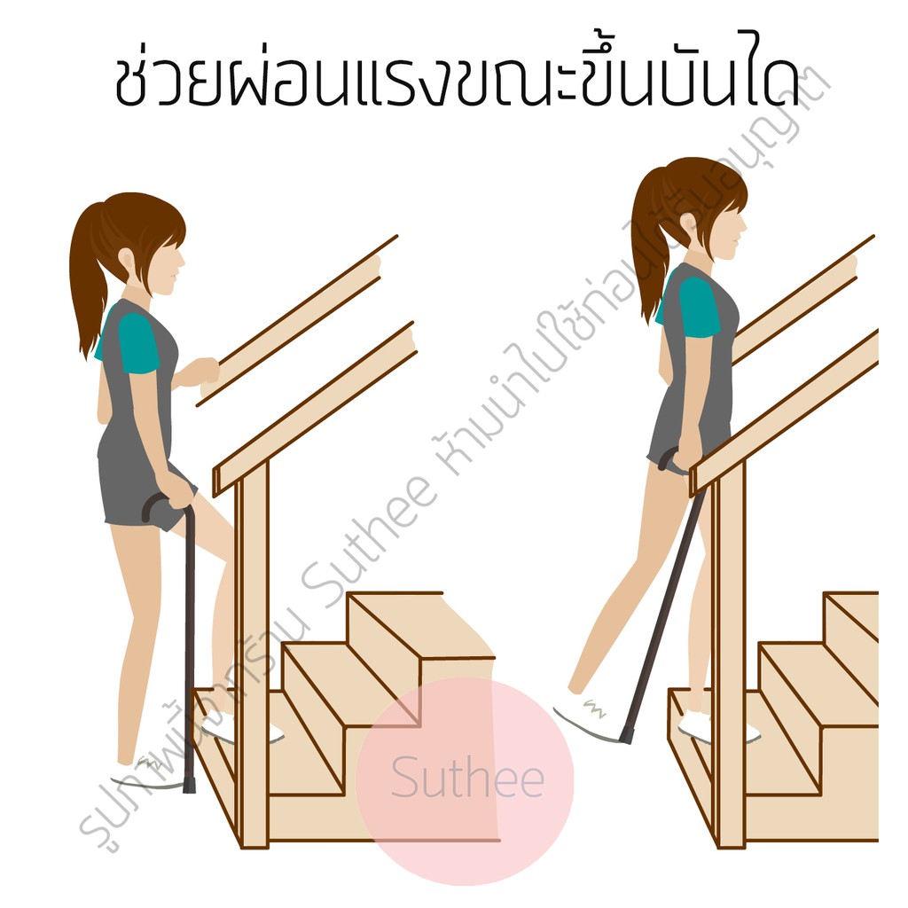 ไม้เท้าผู้สูงอายุ ไม้เท้าคนแก่ ไม้เท้าช่วยพยุงเดิน ค้ำยันหัวฆ้อน ไม่เป็นสนิม น้ำหนักเบา คุณภาพเยี่ยม - รูปที่ 3