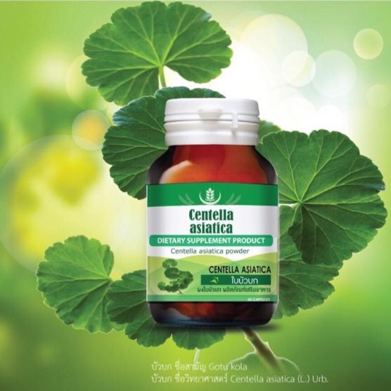 สารสกัดใบบัวบกเข้มข้น Centella asiatica ลดบวม ช้ำใน แผลเป็น by SERES กระปุก 60 แคบซูล พร้อมส่ง