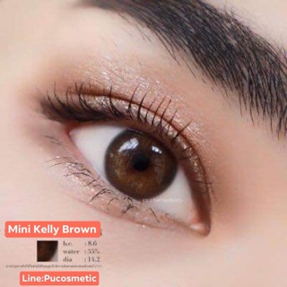 🍁Mini Kelly Brown🍁สายตาปกติถึง,-4.75(kitty kawaii)