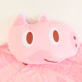 🐷 Pig blanket + pillow 🐷