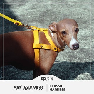 สายรัดอกสัตว์เลี้ยง Classic pet harness หนังนิ่มแท้ สายรัดอกสุนัข สายรัดอกแมว | Mr.&amp;Mrs.Sniff