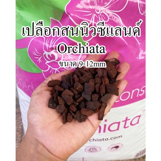 เปลือกสนนิวซีแลนด์ Orchiata 1 ลิตร (9-12mm)