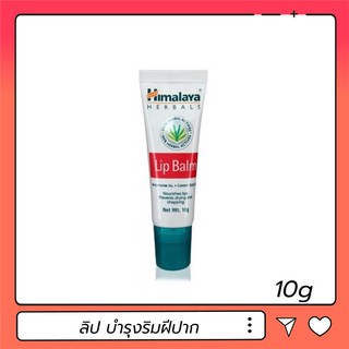 Himalaya Herbals Lip Balm หิมาลายา เฮอร์บัล ลิป บาล์ม 10g