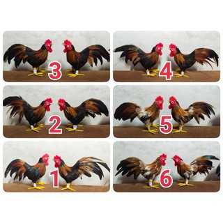 ไก่ชนปลอม ชุดคู่ ขนาดเล็ก S สูง 10-11 cm ยาว13-18