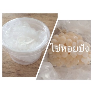 ไข่หอยปัง ไข่หอยเชอรี่