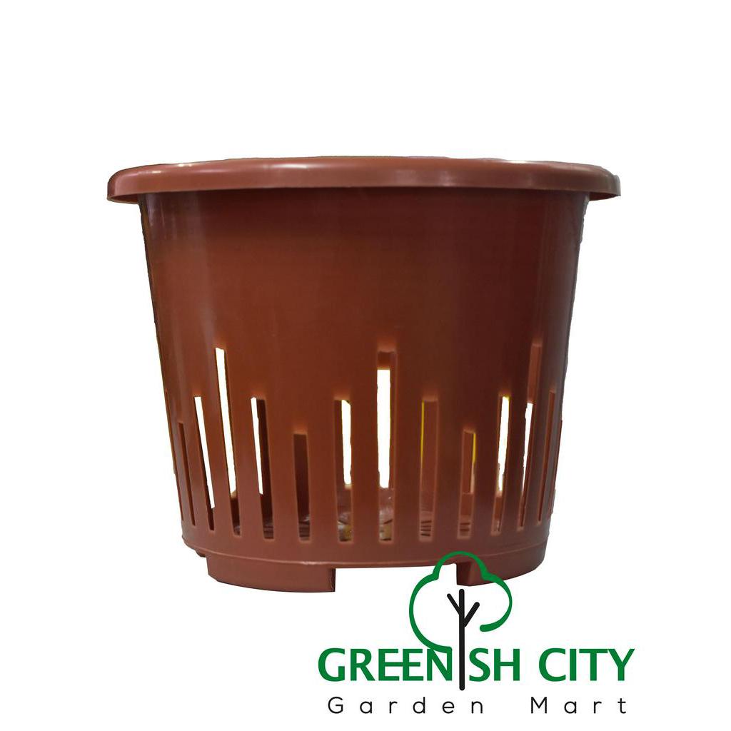 GAFRI OC190 Orchid Flower Pot Pasu Orkid Plastik Plastic Orchid Pot 兰花塑料花盆 ดอกไม้ Miji Flower盆
