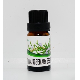 Rosemary Essential Oil น้ำมันหอมระเหยโรสเเมรี่ 10ml.