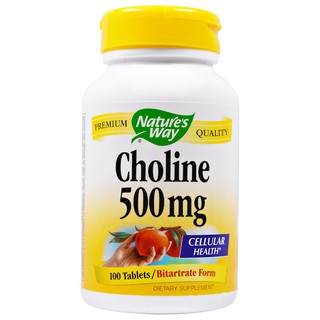 Natures Way, Choline, 500 mg, 100 Tablets