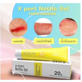 ทาแผลสด  X Pert Nettle Gel 20 G ทาแผลสะเก็ด ถลอก รอยสัก ผ่าตัด ป้องกันแผลเป็น จัดโปร 1-7 ก.ค