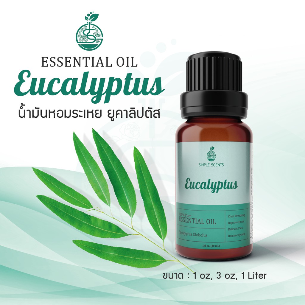 Eucalyptus Essential Oil / น้ำมันหอมระเหย ยูคาลิปตัส / Eucalyptus Oil / 1 oz & 3 oz