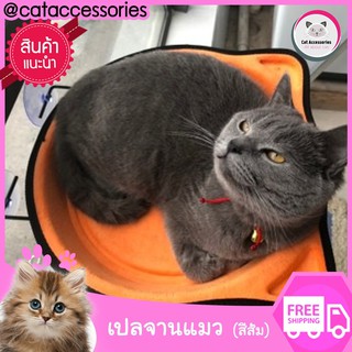 Cataccessories ที่นอนแมวติดกระจกแบบจาน  ขนาดเส้นผ่าศูนย์กลาง 37ซม.จำนวน1 ชิ้นมีให้เลือก6สี