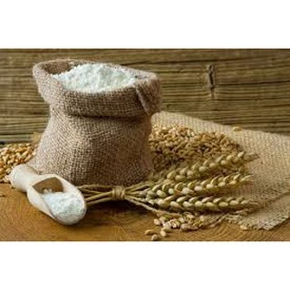 RF แป้งข้าวเจ้า 500 กรัม แป้งขนมจีน แป้งทอด Finest Rice Flour Gluten Free ช้างทะเล ถูกสุดดีสุด#1